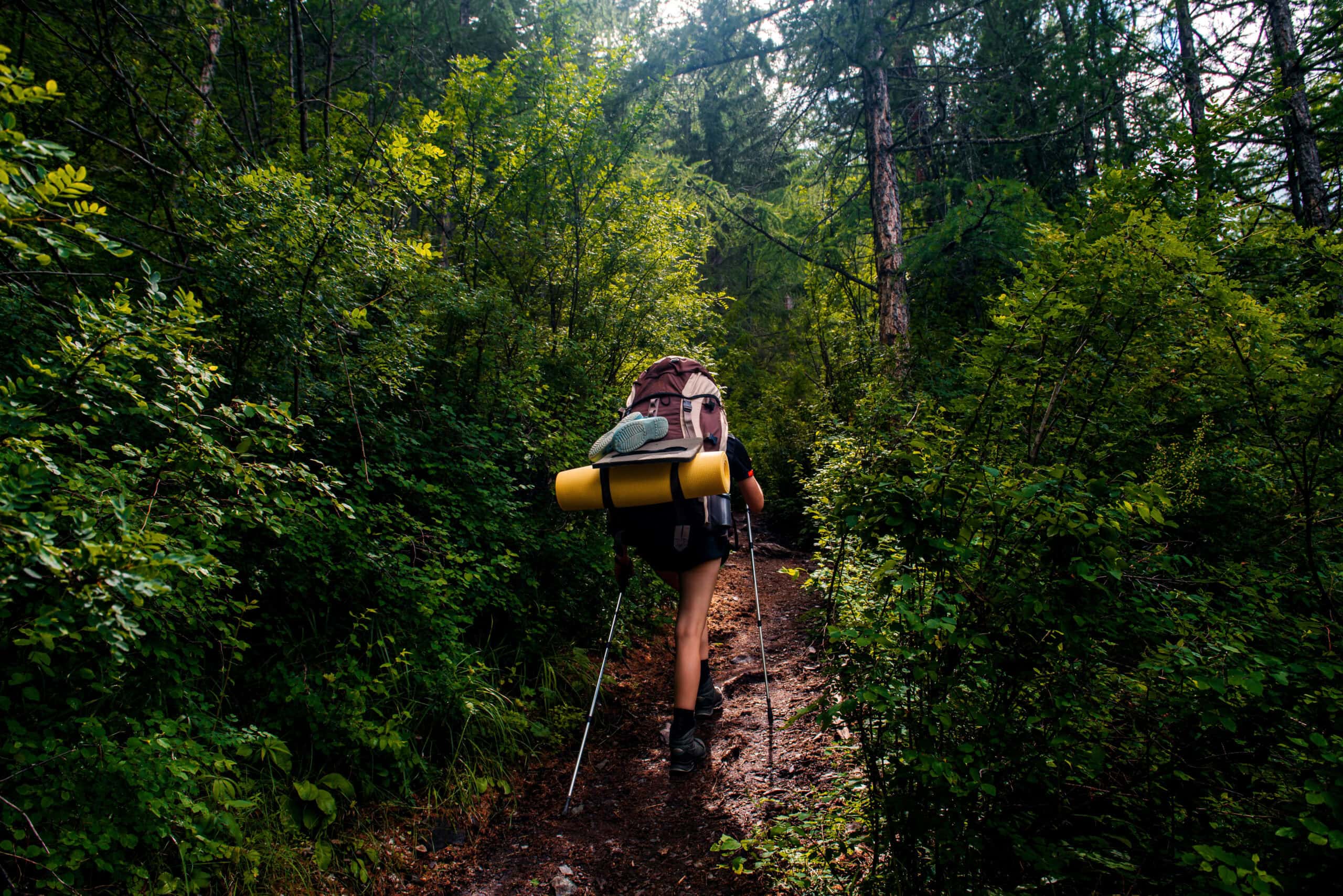 Hausarzt Praxis Söchtenau - Leistung - Reisemedizin Hausarzt Praxis Söchtenau - Leistung - Reisemedizin