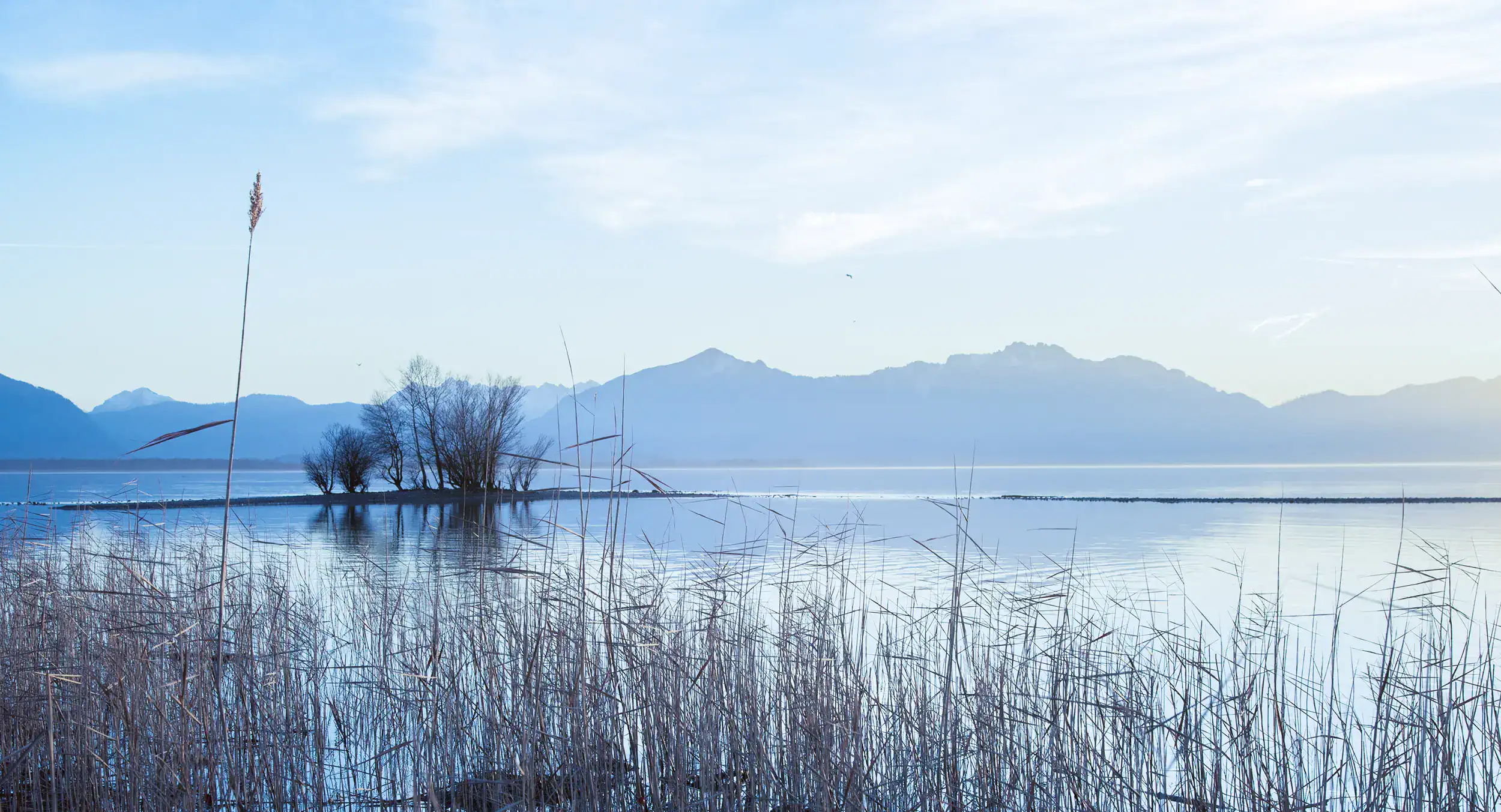 AdobeStock_150867174